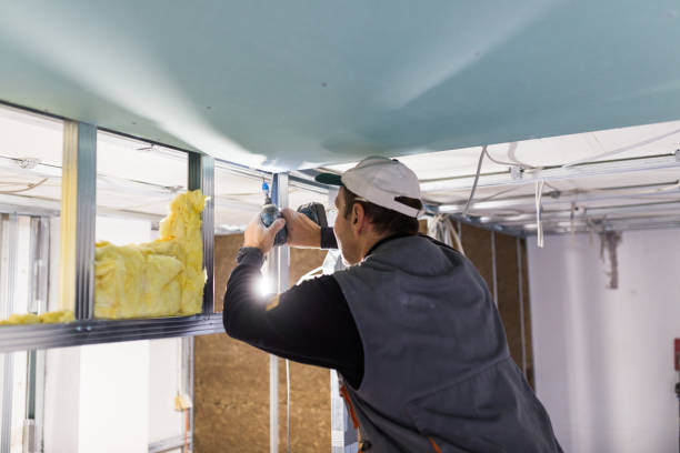 Best Insulation Maintenance and Repair in Rifle, CO