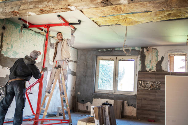 Best Specialty Insulation in Rifle, CO